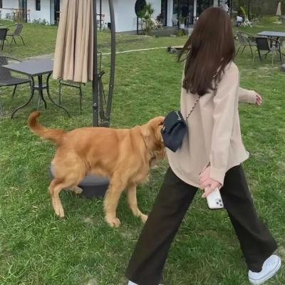 猛龙怪客3海报