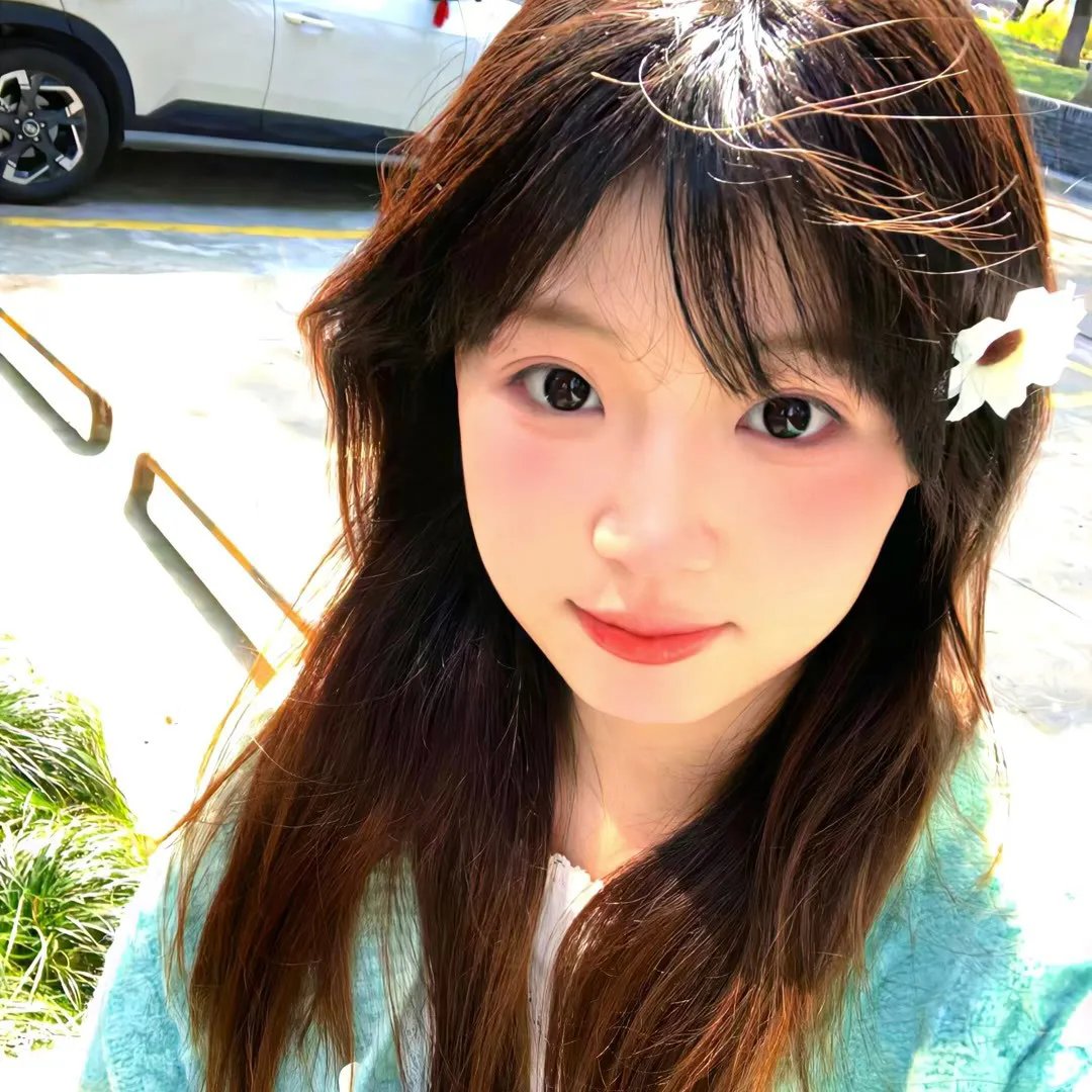 只有形式的罗曼史海报
